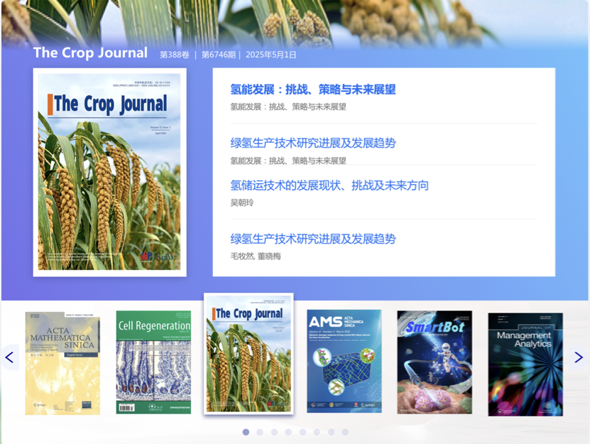 科協期刊官網設計 學術科協網站設計 期刊門戶網站設計 中國科協 中英文網站設計