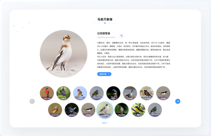 高端網(wǎng)站設(shè)計